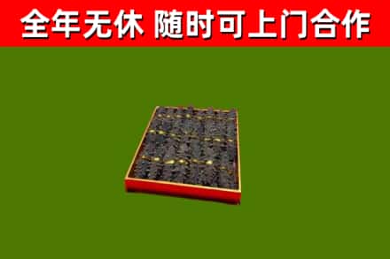 江山市回收海参